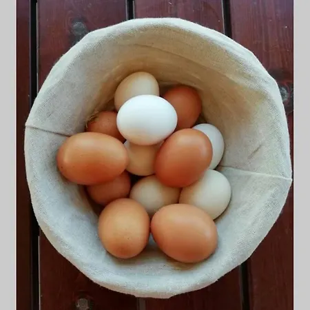 Casa Kikenda, Viaggio Nella Natura Сasa de vacaciones Treia