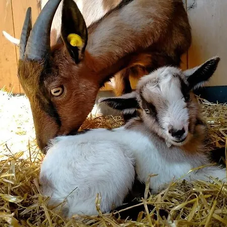 Casa Kikenda, Viaggio Nella Natura *