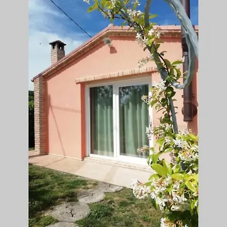 Casa Kikenda, Viaggio Nella Natura Treia