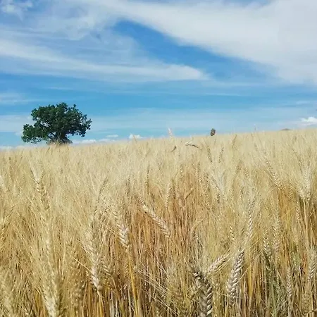 Сasa de vacaciones Casa Kikenda, Viaggio Nella Natura Treia
