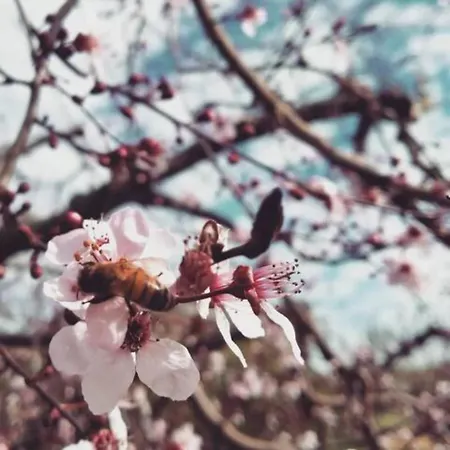 Casa Kikenda, Viaggio Nella Natura Сasa de vacaciones