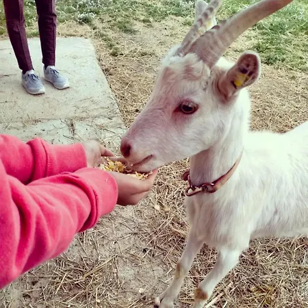 Casa Kikenda, Viaggio Nella Natura Holiday home *