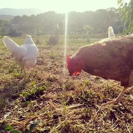 Holiday home Casa Kikenda, Viaggio Nella Natura