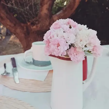 Casa Kikenda, Viaggio Nella Natura Holiday home *