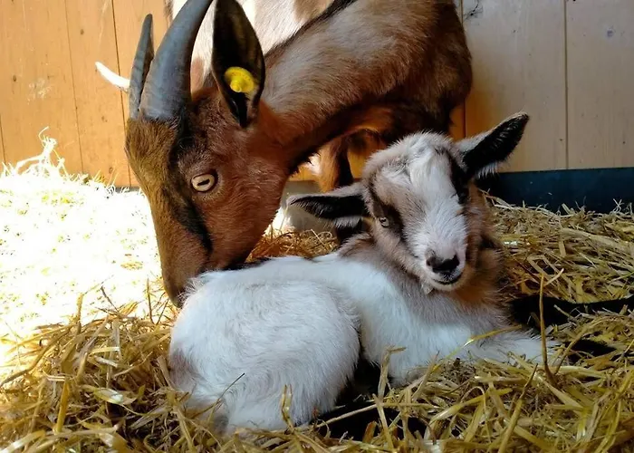 Casa Kikenda, Viaggio Nella Natura *