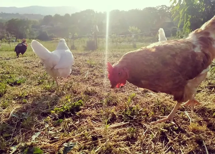 Feriehus Casa Kikenda, Viaggio Nella Natura