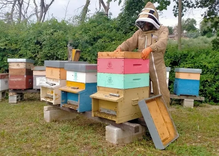 Casa Kikenda, Viaggio Nella Natura Feriehus